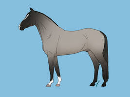 Horse Adoptable - SOLD