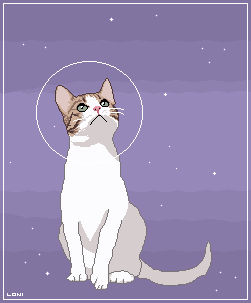 Space Cat II