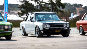 Club Datsun