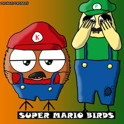 Super Mario Birds