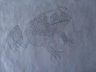 My old sketchs (2012) - 'Toad'