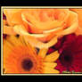 Sunny Bouquet