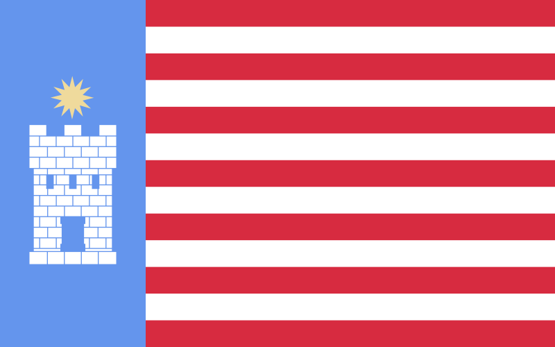 Common sense flag