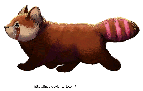 Chubby Red Panda Walking By Linzu On Deviantart Chubby Red Panda Walking By Linzu On Deviantart