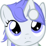 Curious Filly Discentia