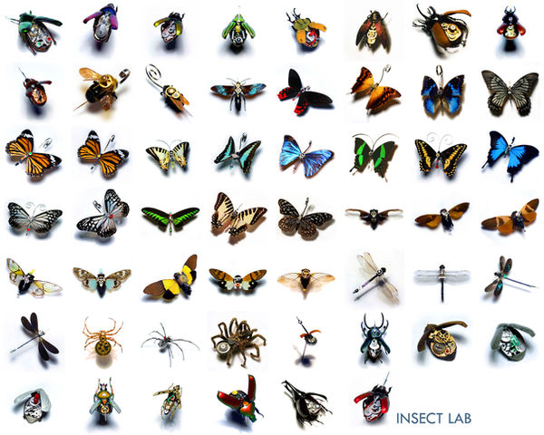 Lab Insect Visuals Insect Lab Wallpaper by EmotionallyDevoid on DeviantArt