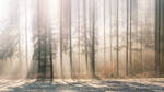 An einem Wintermorgen ... by Saber1705 An einem Wintermorgen ... by Saber1705