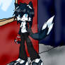 Kai the Wolf:sonic form
