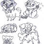 Pug sketchs