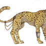 Fancy Cheetah