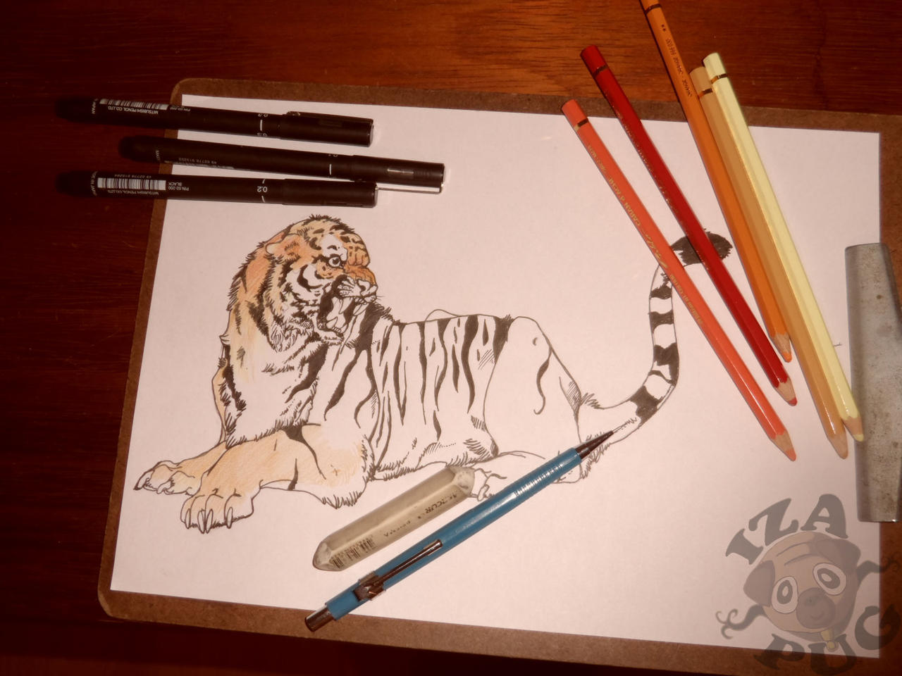 WIP Tiger