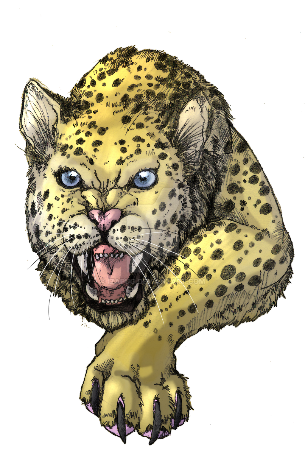 Angry Leopard. by IzaPug on DeviantArt