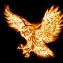 Flaming Owl