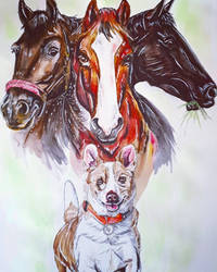 3 horses and a dog