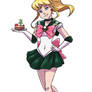 SailorCinderellaJupiter