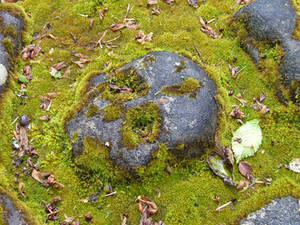 Grave Detail