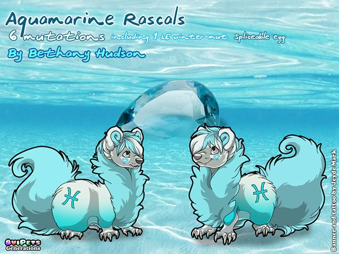 Aquamarine Rascal Banner