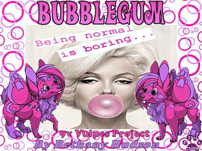 Bubblegum Banner made for Bethany Hudson