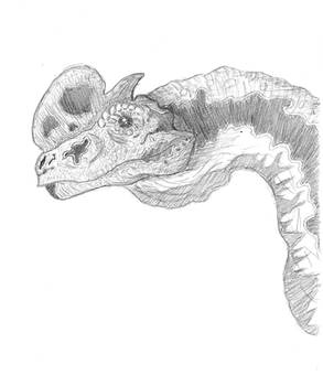 Dilophosaurus study