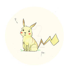 Pikachu- Take me home?