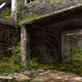 Overgrown Building