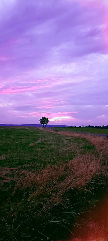 Tree And Nature .