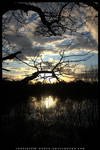 __silhouette and sunset. by s-uperflu0us