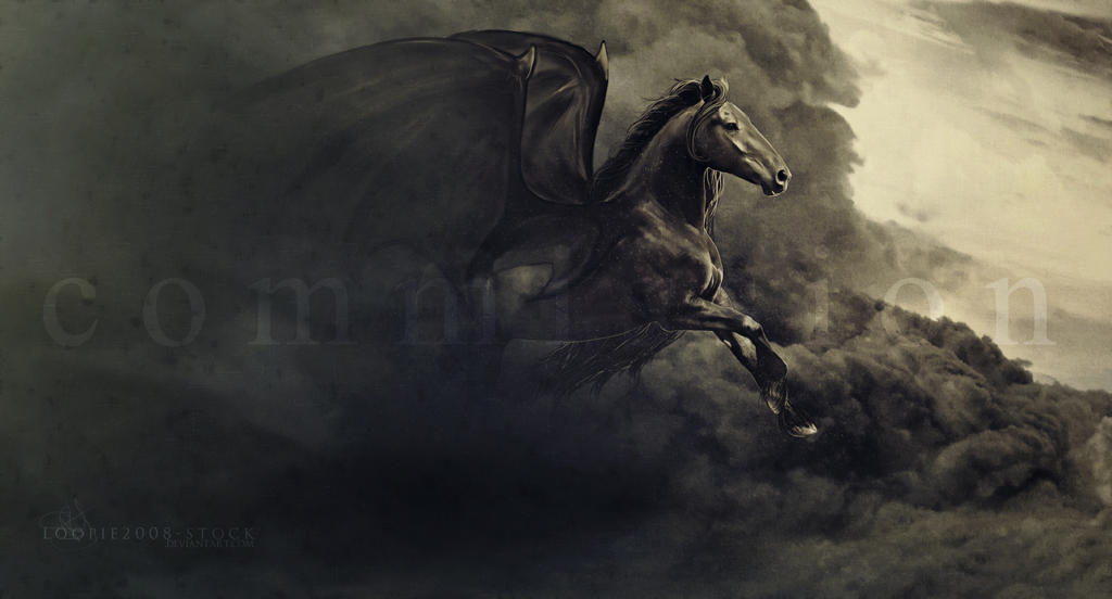 - vanquish by s-uperflu0us - vanquish by s-uperflu0us
