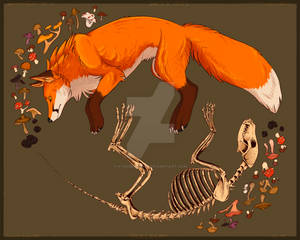 Life and Death (fox)