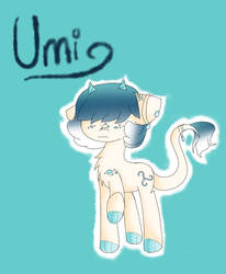 Umi The Dragon Pony