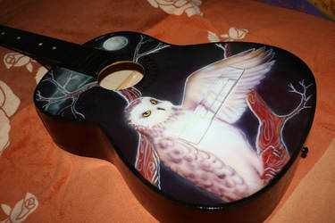 Owl on the guitar