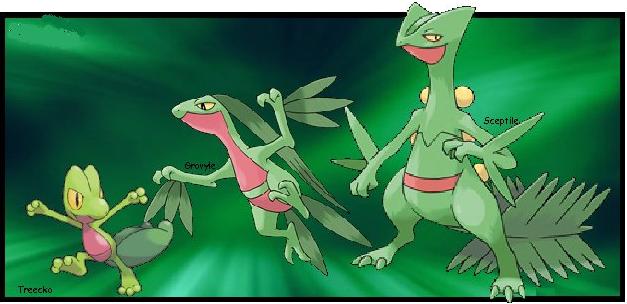 Treecko Evolution Banner by joyful-melody on DeviantArt