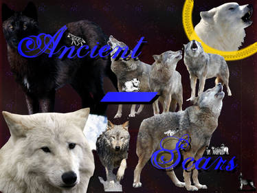 Thank you from a Wolf