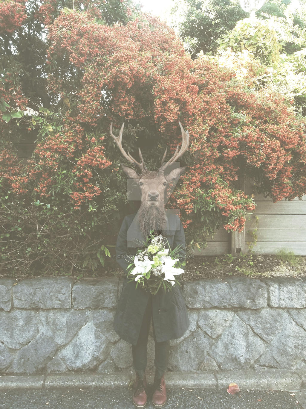 Deer with the flowers #2 (in color)