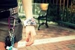 Priceless by Hearts2