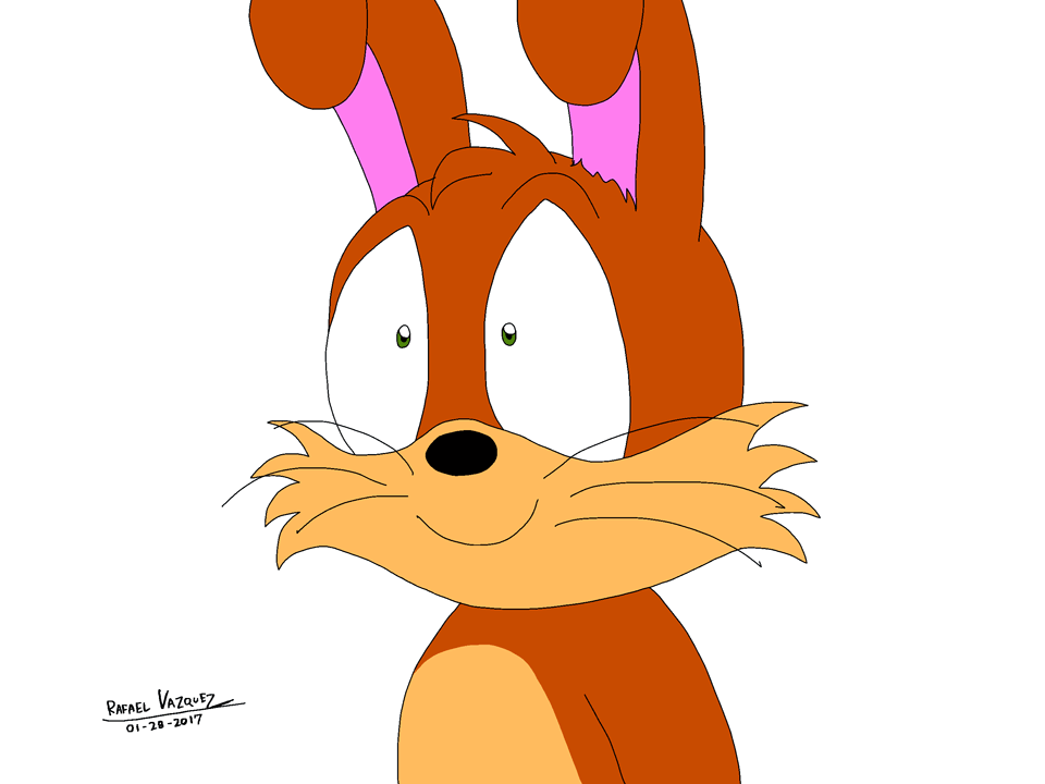 Fluffy The Rabbit - Animation 01 by Rafael-Arts on DeviantArt