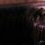 C: hello, goodbye