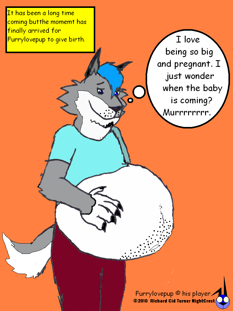 Furrylovepup's Pregnancy 1