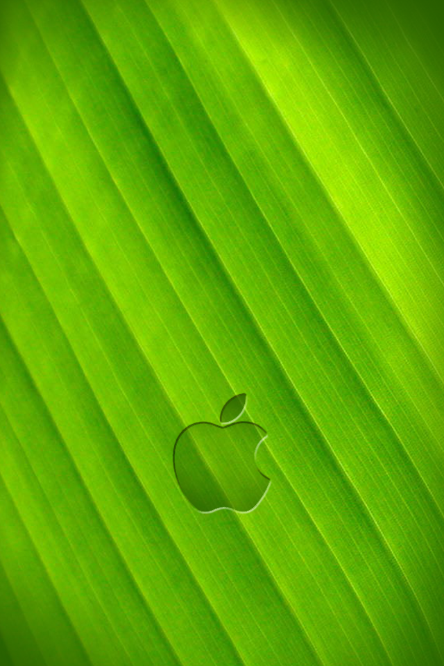Banana leaf Wallpaper - iPhone by SwrannN on DeviantArt