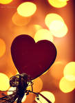 LOVE BOKEH by VolAlisonBeat