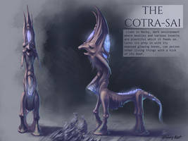 The Cotra-Sai