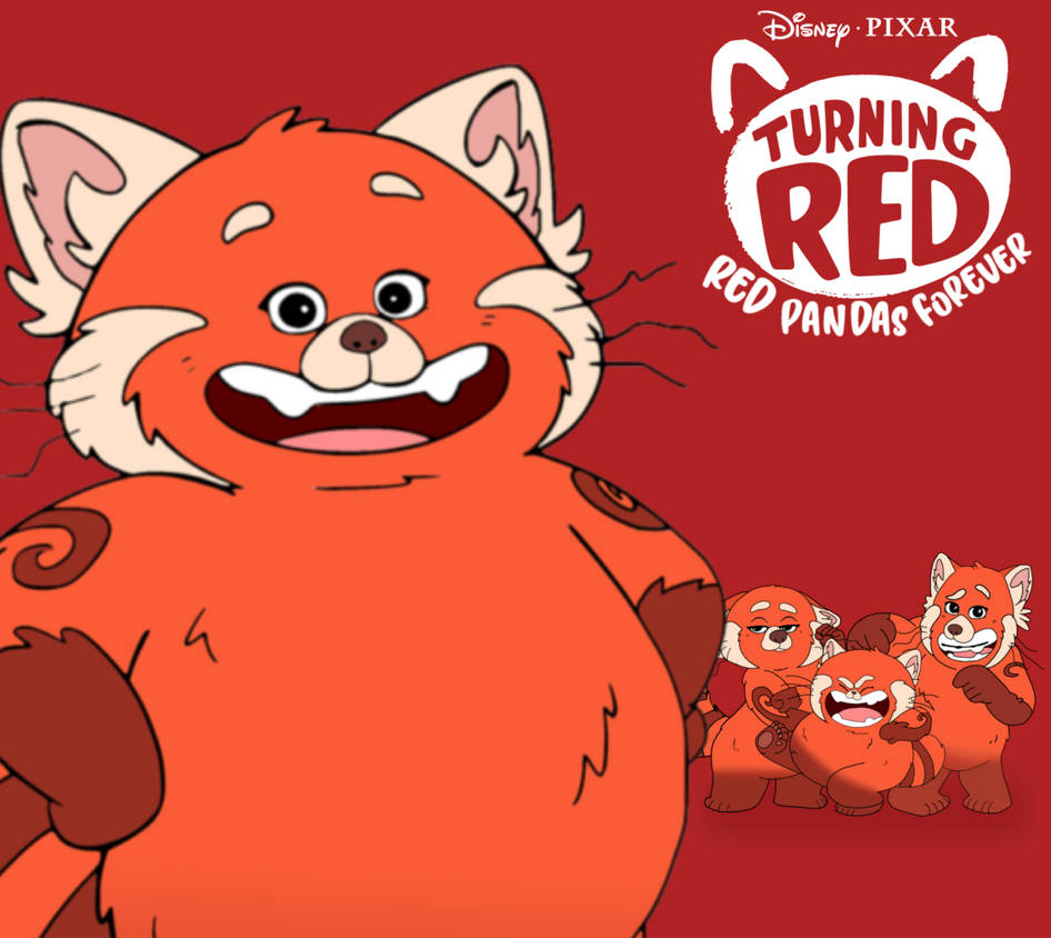 Turning red:Red pandas forever by repandadoodle on DeviantArt