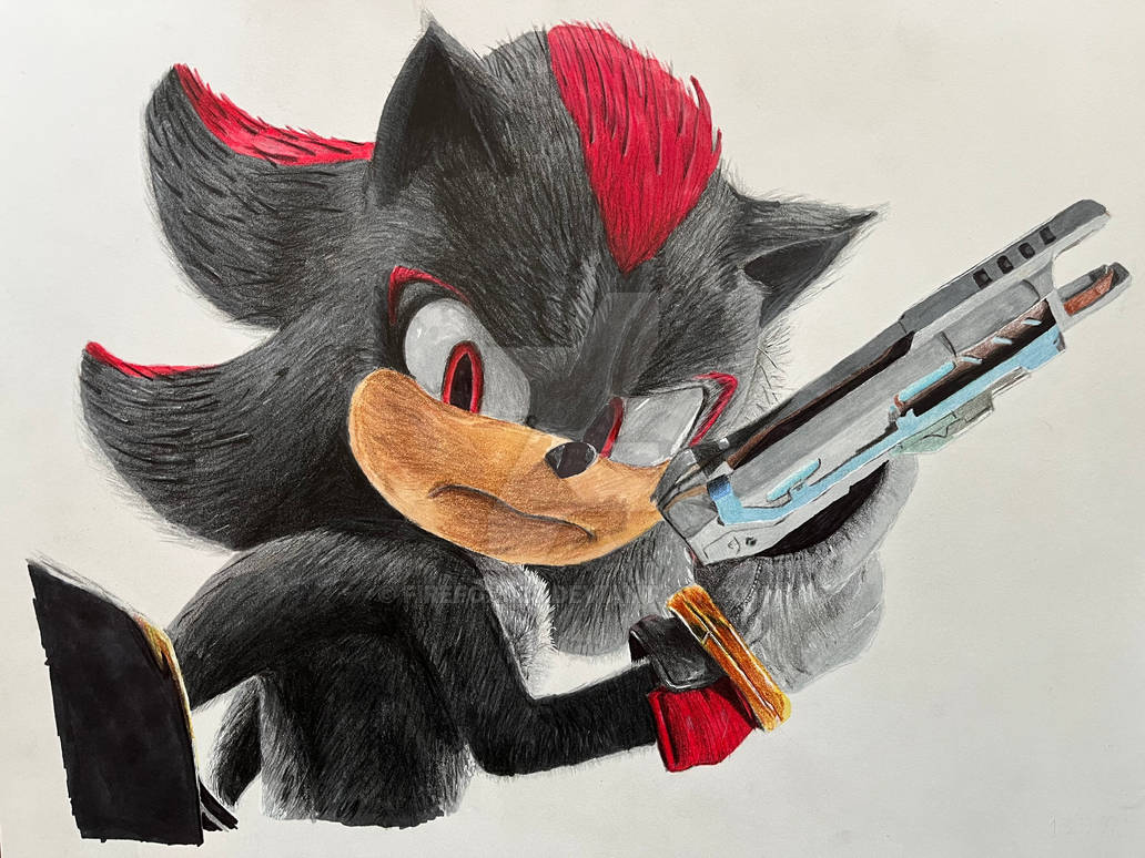 Help Me Shadow Shadow: Don't try to follow me. by FireFox028 on DeviantArt
