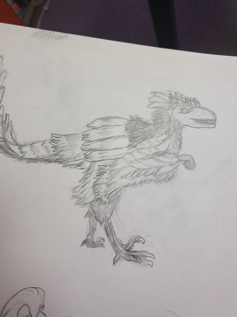 Cartoon Raptor Feathers Feather Raptor (baby) by keeno789 on DeviantArt