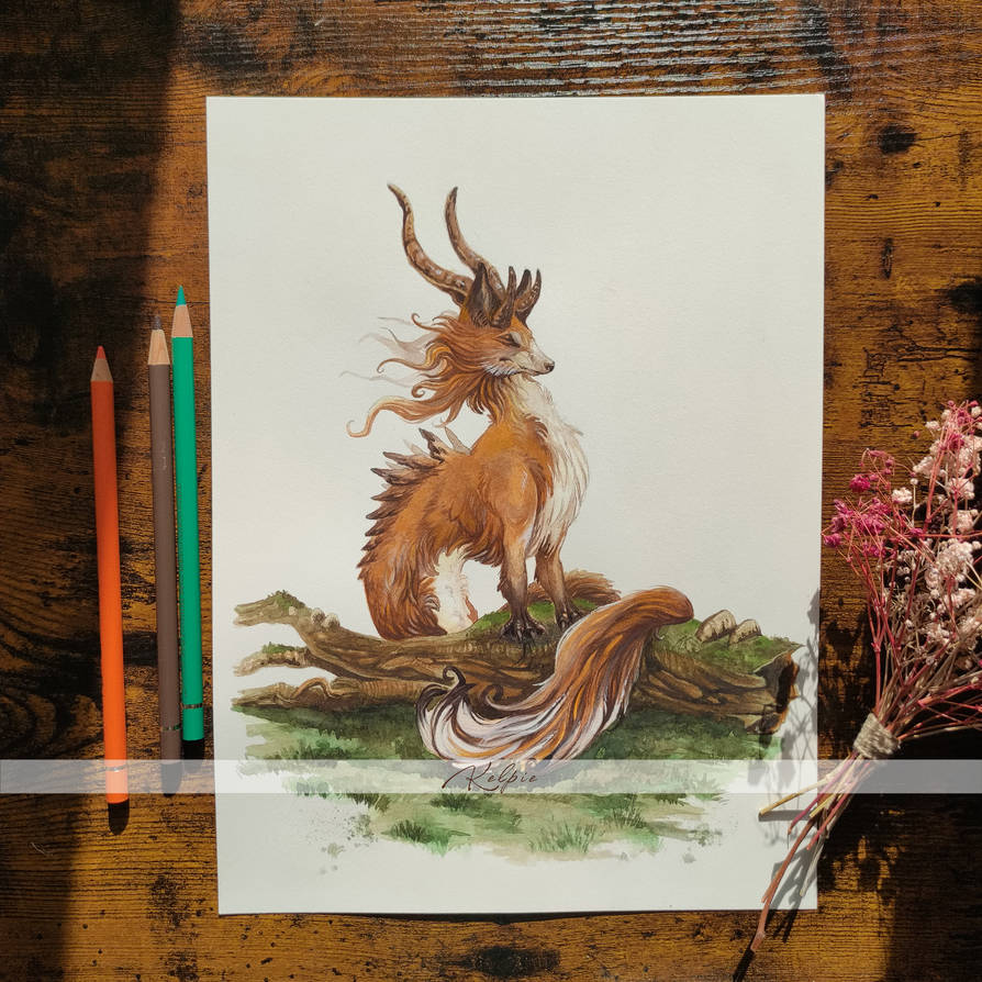 Vulpes vulpes by Art0fKelpie on DeviantArt