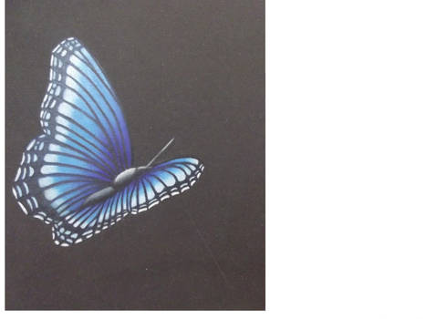 Butterfly from Transformation Drawing