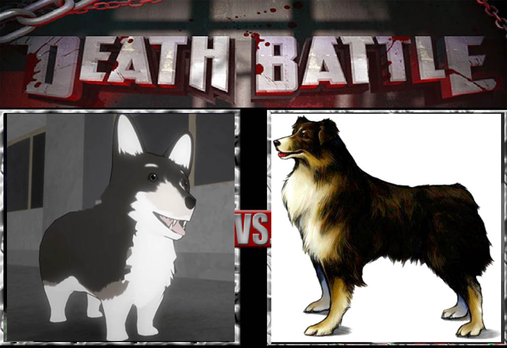 Zwei vs. Angelo