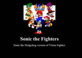 Sonic the Fighters Motivational Poster