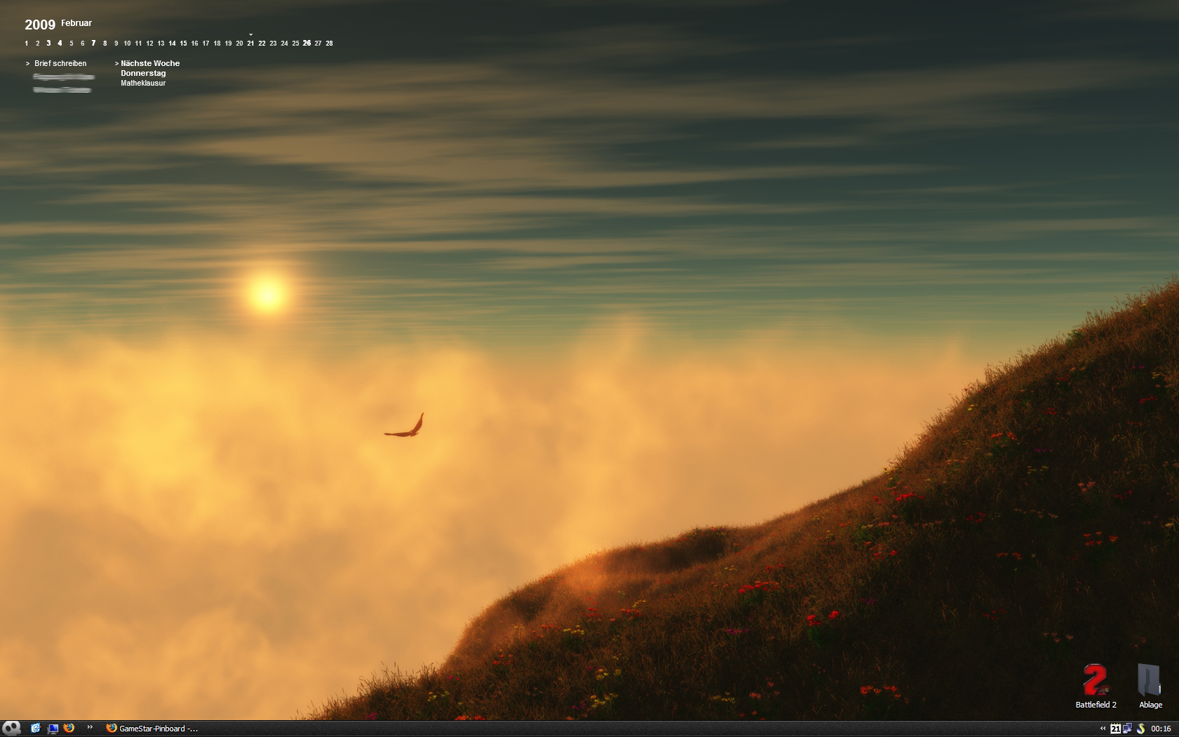 my desktop on 2009.02.20