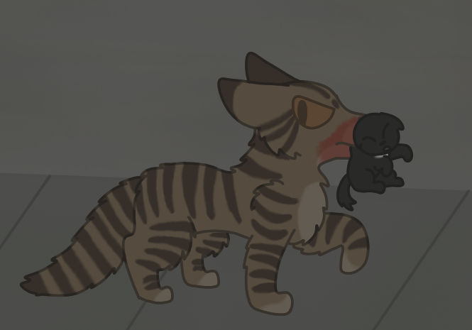 Kit Napping Post Kitnapping by CheeseHamster57 on DeviantArt